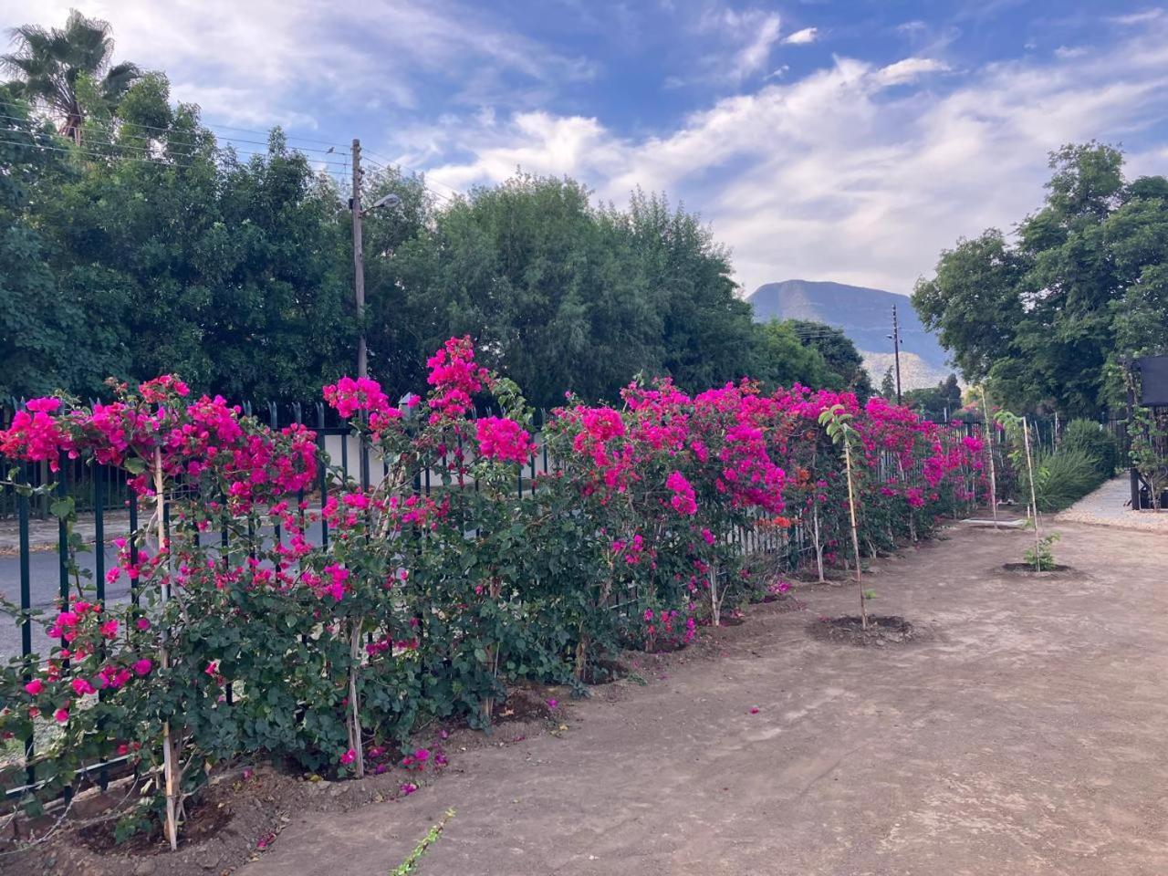Die Dorpshuis Graaff-Reinet Dış mekan fotoğraf