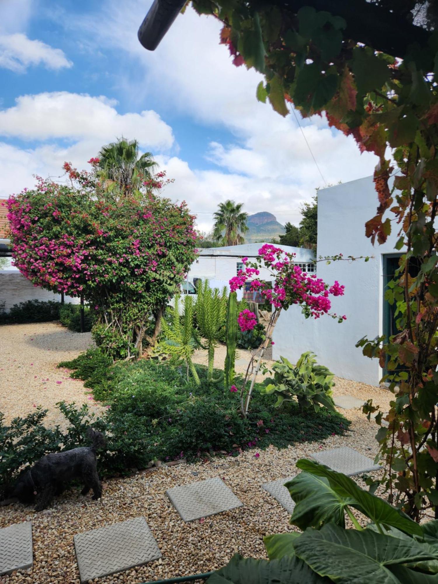 Die Dorpshuis Graaff-Reinet Dış mekan fotoğraf