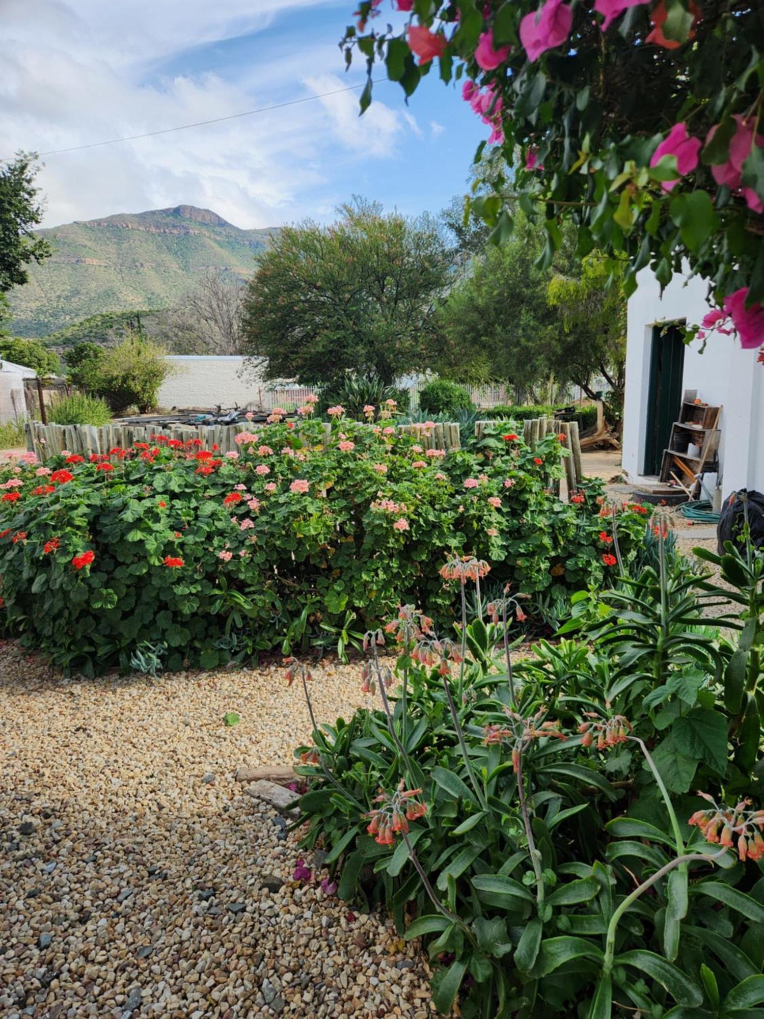 Die Dorpshuis Graaff-Reinet Dış mekan fotoğraf